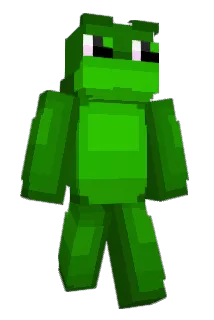 H020 Minecraft avatar full body