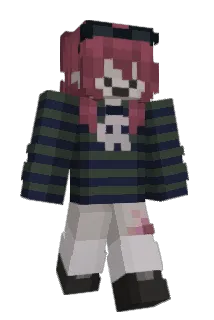 H0nkyity Minecraft avatar full body