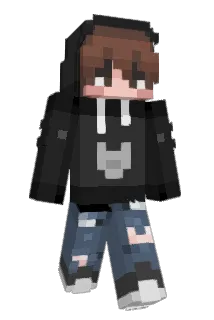 H10D1 Minecraft avatar full body