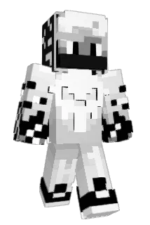 H1Q1 Minecraft avatar full body