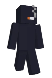 H1ST Minecraft avatar full body