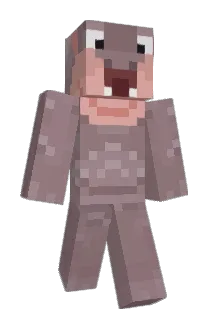 H1ppoMuncher Minecraft avatar full body