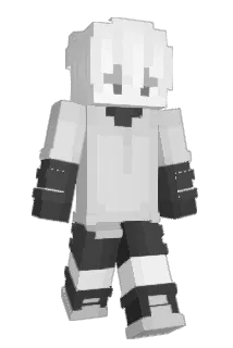 H2000H Minecraft avatar full body