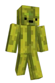 H20Melon Minecraft avatar full body