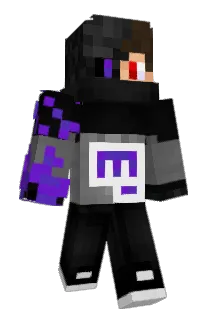 H313MP Minecraft avatar full body