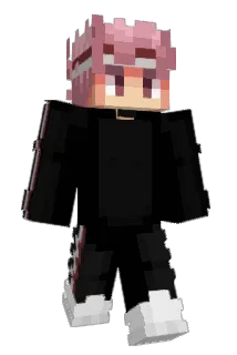 H4Y Minecraft avatar full body