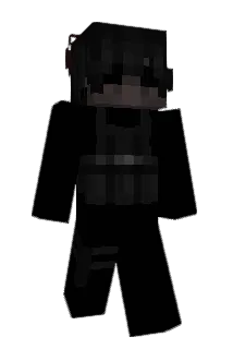 H611 Minecraft avatar full body