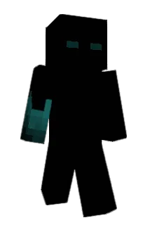 H83 Minecraft avatar full body