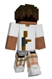 H8Z9 Minecraft avatar full body