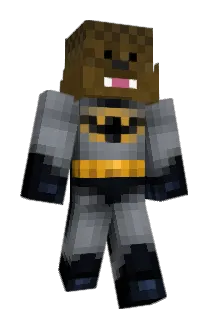 HAGR26 Minecraft avatar full body