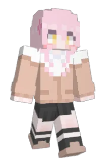 HAKO5961 Minecraft avatar full body