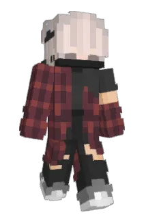 HAL5884 Minecraft avatar full body
