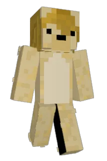 HALL5ND Minecraft avatar full body