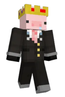 HAMMIE208 Minecraft avatar full body