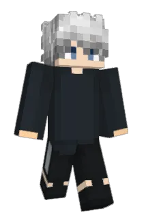HAN6_ Minecraft avatar full body