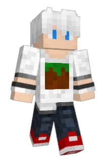 HASH1M0N Minecraft avatar full body