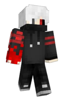 HASS96 Minecraft avatar full body