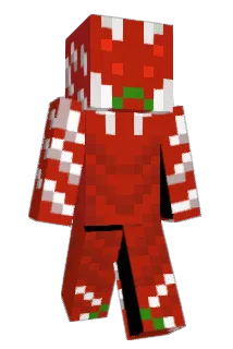 HAT2352 Minecraft avatar full body