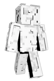 HAV1C_ Minecraft avatar full body
