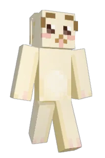 HAYUN1 Minecraft avatar full body