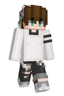 HAmilch Minecraft avatar full body
