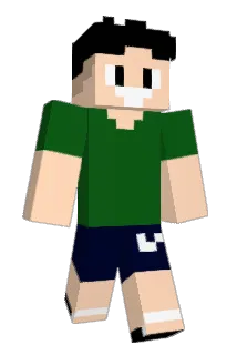 HBAMES Minecraft avatar full body