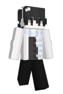 HCBRMC Minecraft avatar full body