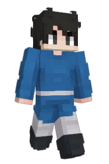 HCT Minecraft avatar full body
