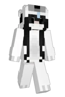 HDHRNCFL Minecraft avatar full body