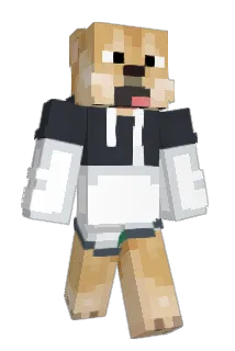 HDS827 Minecraft avatar full body