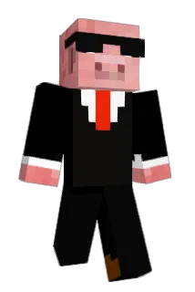 HDW2004 Minecraft avatar full body