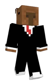 HELPLLLL Minecraft avatar full body
