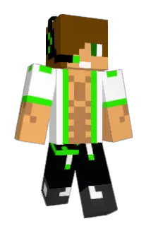 HENGSTKARINO Minecraft avatar full body