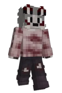 HETOPY Minecraft avatar full body