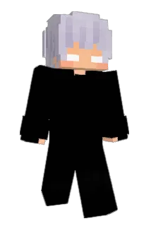 HF0X Minecraft avatar full body