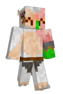 HFausto Minecraft avatar full body
