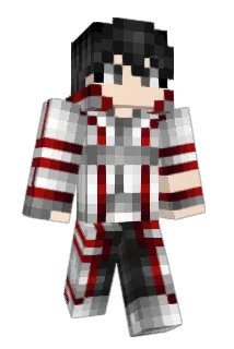 HG0794 Minecraft avatar full body