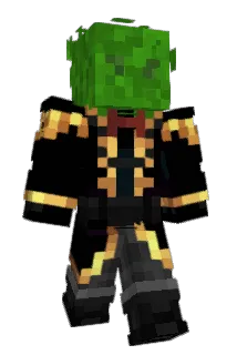 HG2004 Minecraft avatar full body