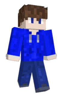 HGB321 Minecraft avatar full body