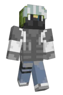 HGDFM Minecraft avatar full body