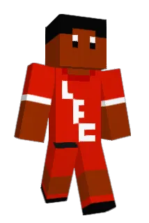 HGR02 Minecraft avatar full body