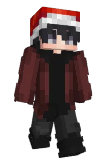 HGR_13 Minecraft avatar full body