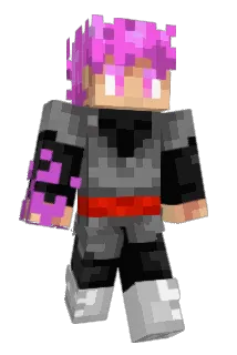 HID9 Minecraft avatar full body