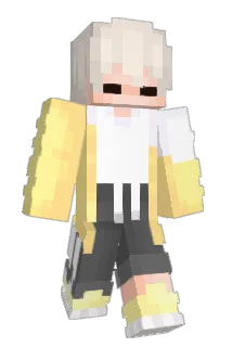 HIDONI_ Minecraft avatar full body