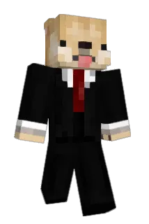 HI_THE_1234 Minecraft avatar full body