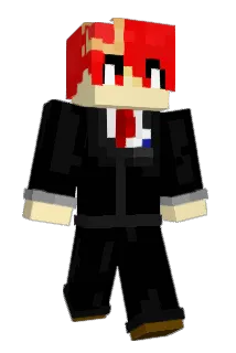 HIsoft Minecraft avatar full body