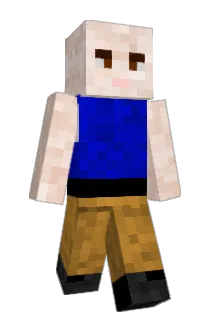 HJC960 Minecraft avatar full body