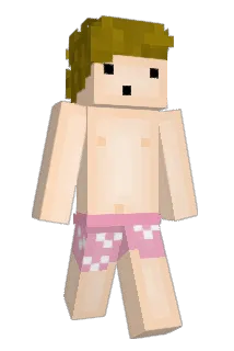 HJP Minecraft avatar full body