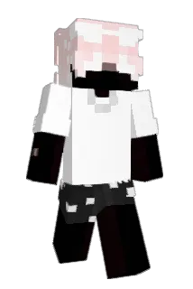 HKQQ Minecraft avatar full body