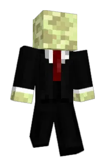 HKR0207 Minecraft avatar full body